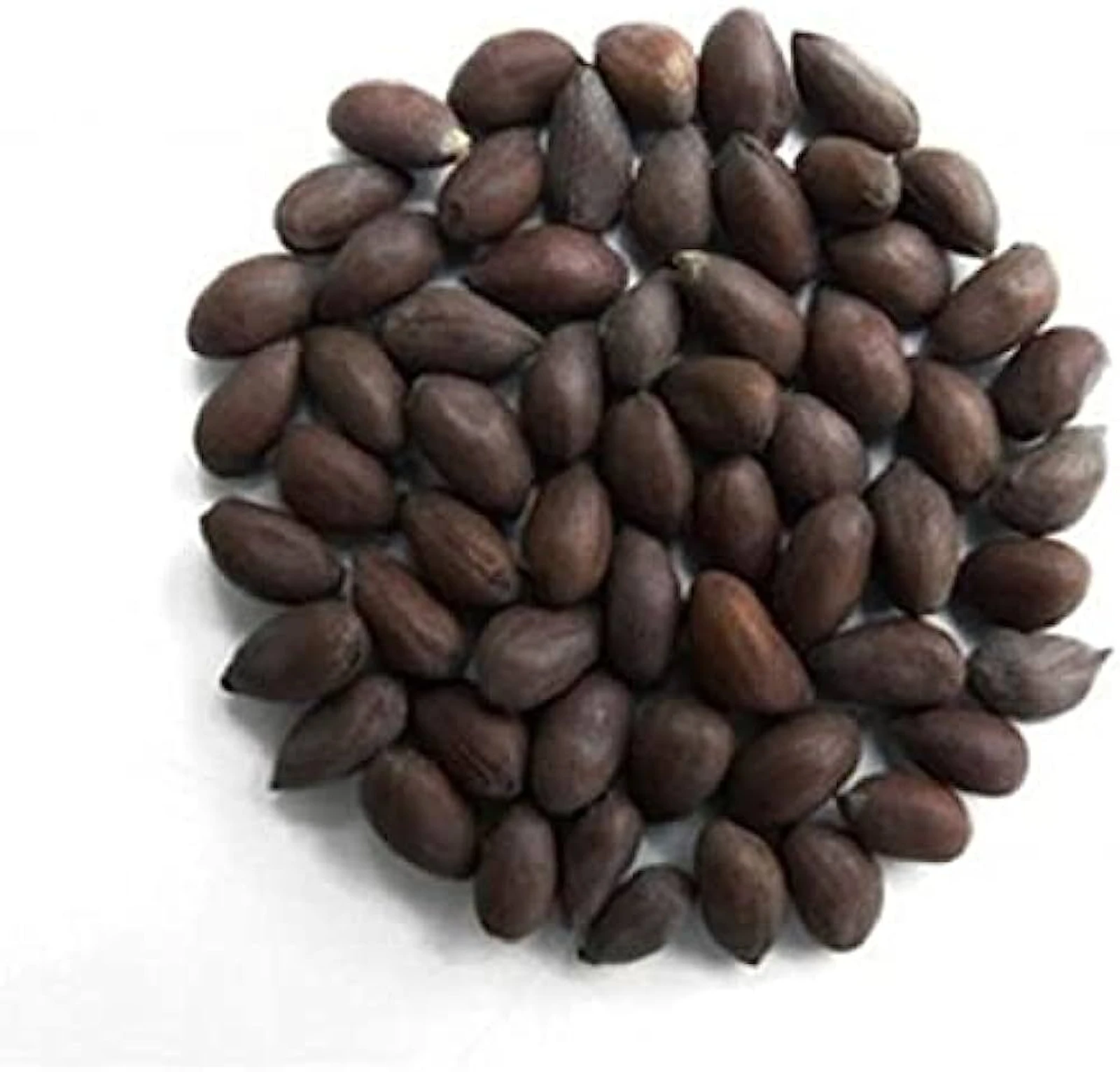 Cotton seed supplier in India